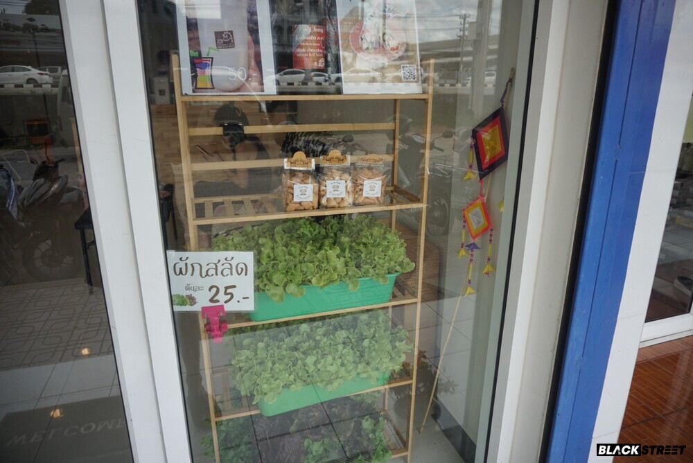 ร้านกิ๊กสลัดและก็อดซิลล่า พะเยา