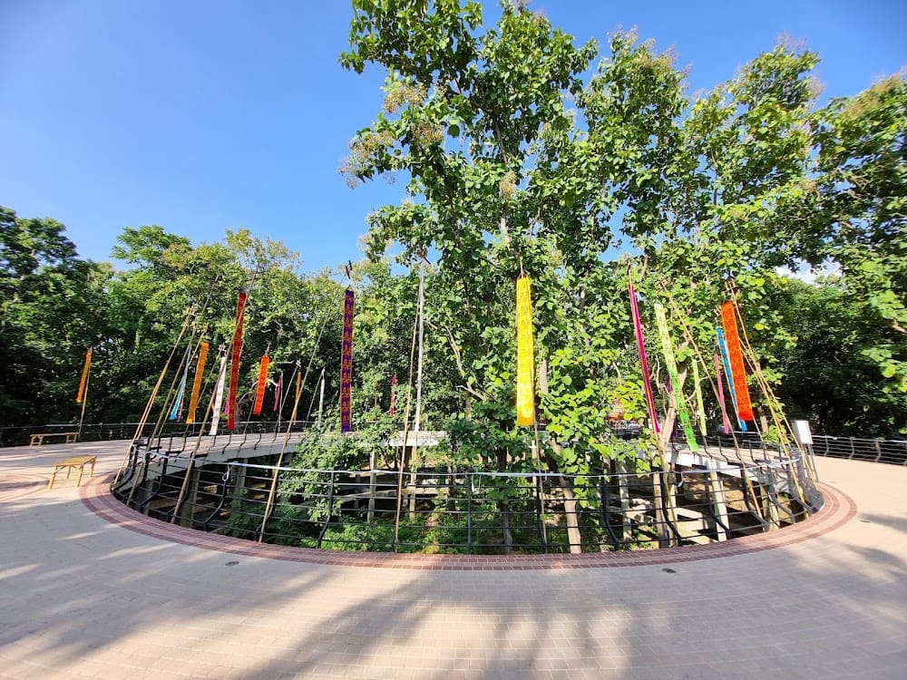 วิวโอบล้อมไปด้วยต้นไม้น้อยใหญ่ ให้ความรู้สึกสบายใจอย่างบอกไม่ถูก