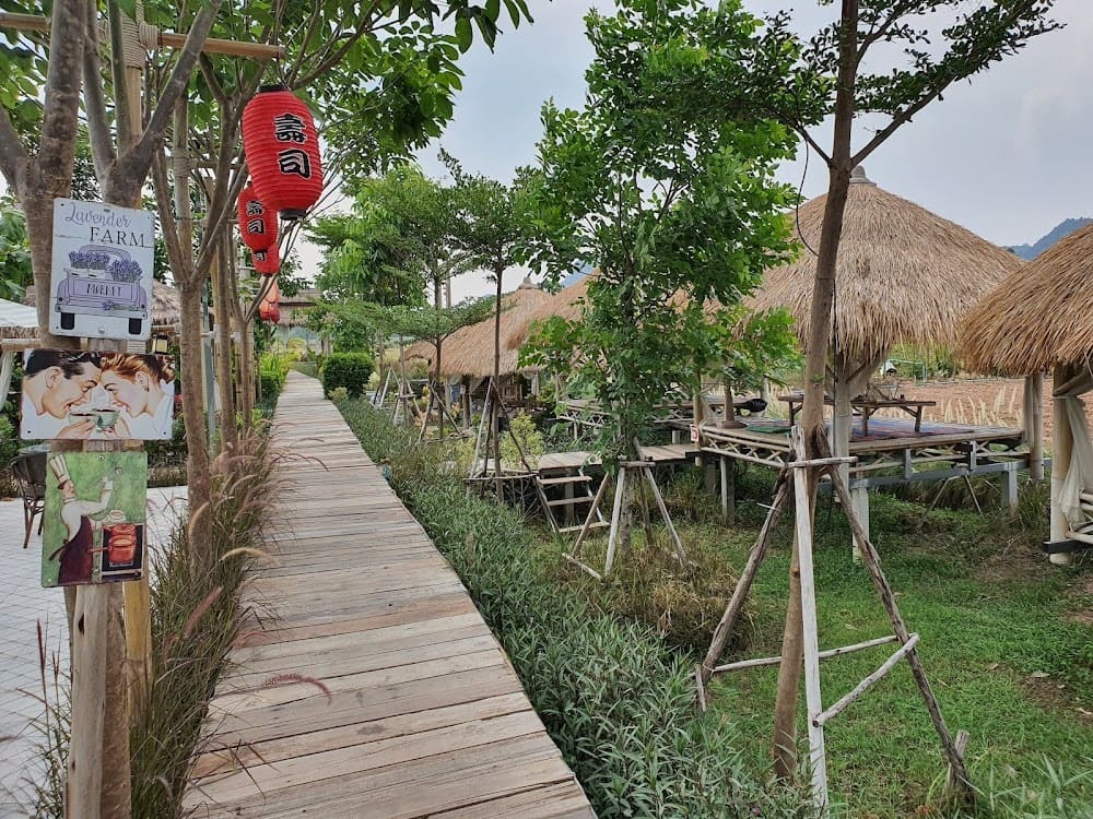 ทางเดินมากระท่อม ติดๆ กับทุ่งนา