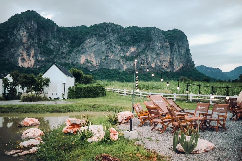 ไวน์วูด ภูผาม่าน ที่ตัดกับภูผา