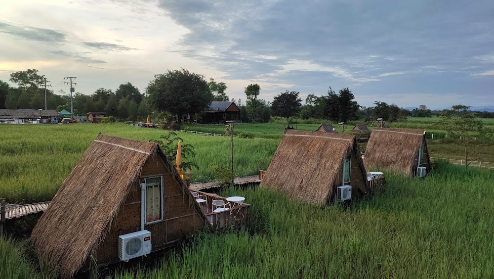 ที่พักที่อยู่ติดกับทุ่งนาของ ภูผาม่าน โฮมสเตย์