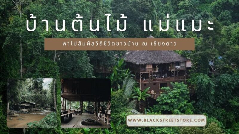 บ้านต้นไม้ แม่แมะ00 - ภูสักธารรีสอร์ท