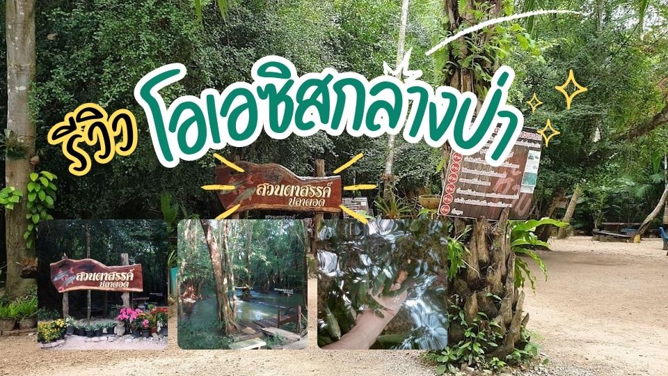 สวนตาสรรค์00 - สวนตาสรรค์