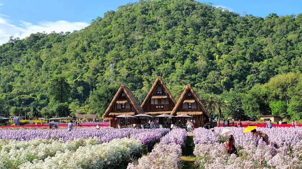 มุมถ่ายรูปเยอะมากๆ Hokkaido Flower Park Khaoyai