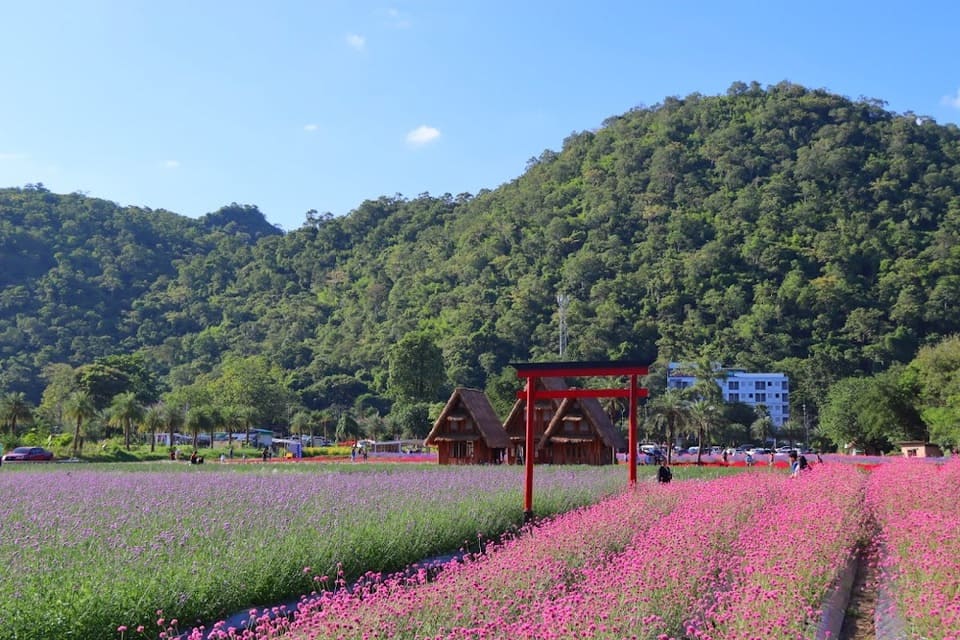บรรยากาศดีมาก Hokkaido Flower Park Khaoyai