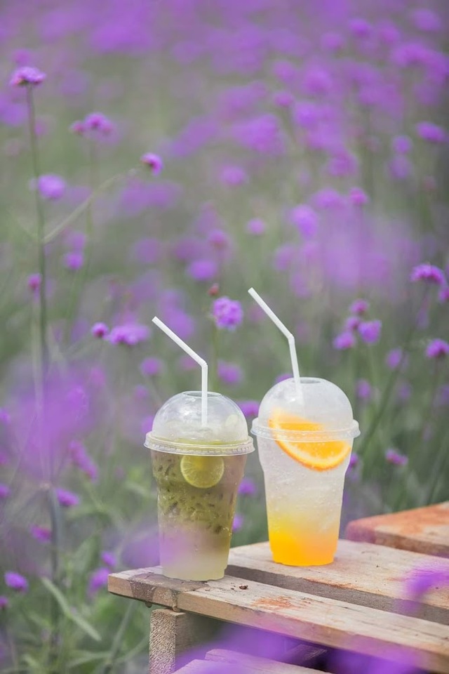มีเมนูเครื่องดื่มและ ขนมน่าสนใจหลากหลายเมนูให้เลือกทาน Hokkaido Flower Park Khaoyai