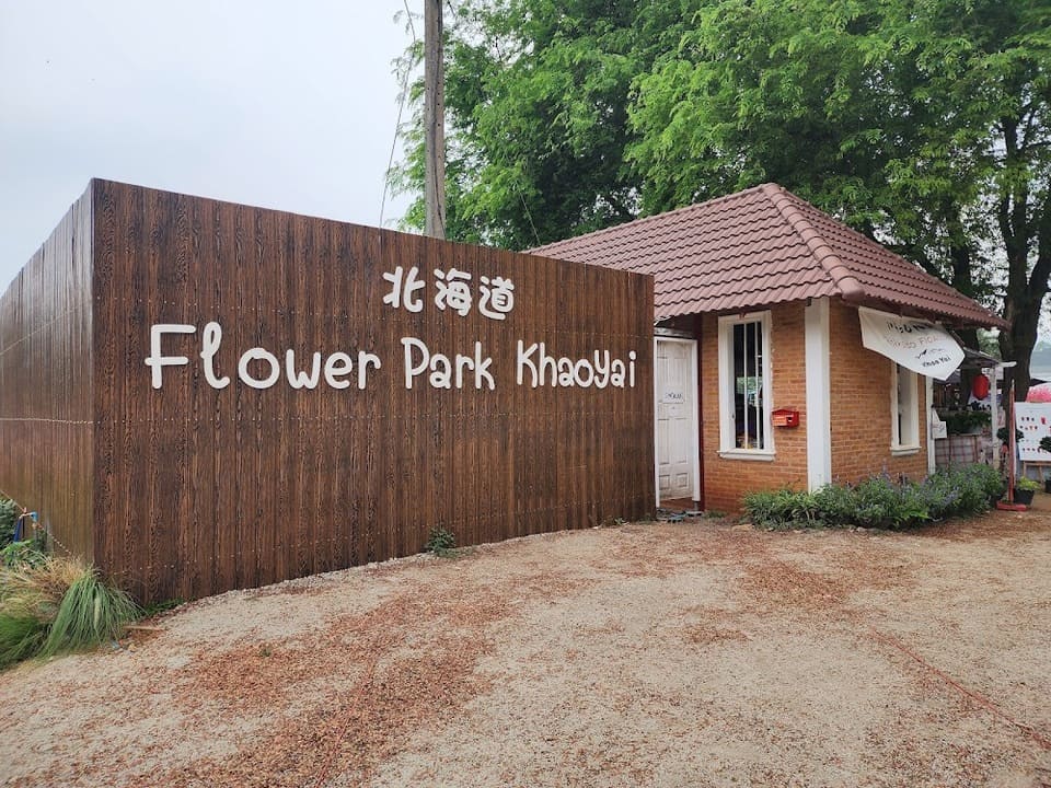 ใครชอบดอกไม้สวยๆ บรรยากาศญี่ปุ่นๆ ต้องห้ามพลาด Hokkaido Flower Park Khaoyai