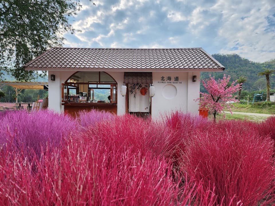 คาเฟ่ Hokkaido Flower Park Khaoyai