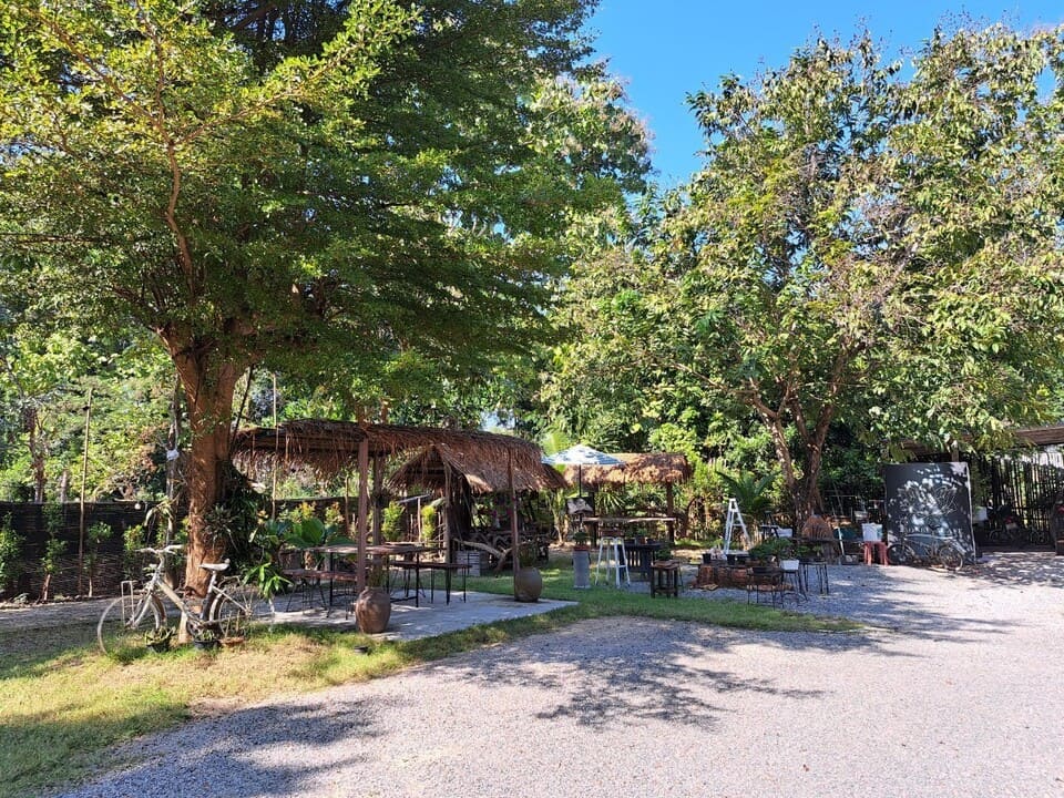 บรรยากาศร่มรื่นสุดๆ ต้นบัว CAFE