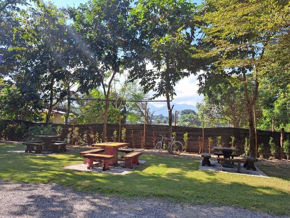 ร่มรื่น สงบมาก ต้นบัว CAFE